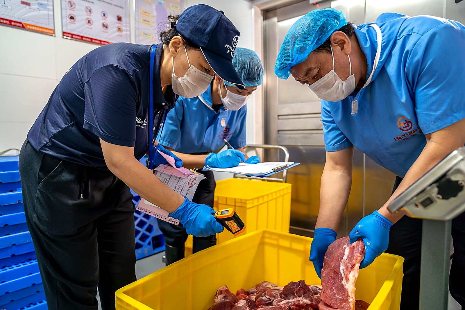 肉类验收：现场测温、检疫票证核验